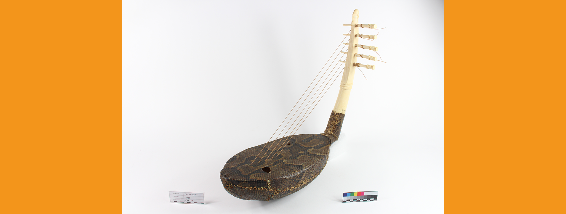 Restauration : harpe arquée originaire de la République Démocratique du Congo